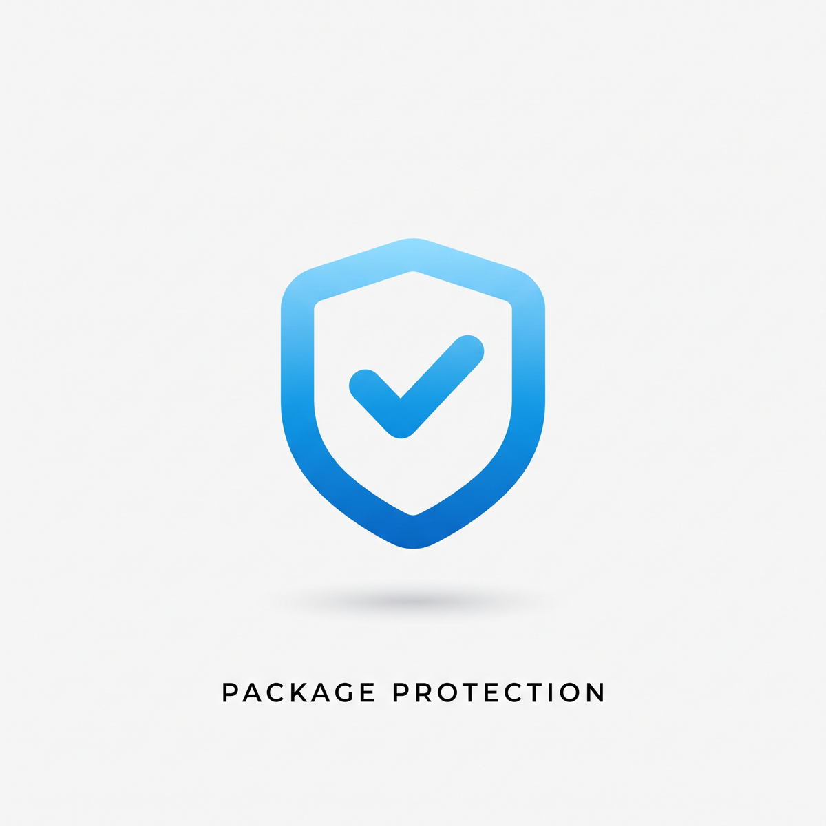 Package Protection - covers loss, theft and damage in transit